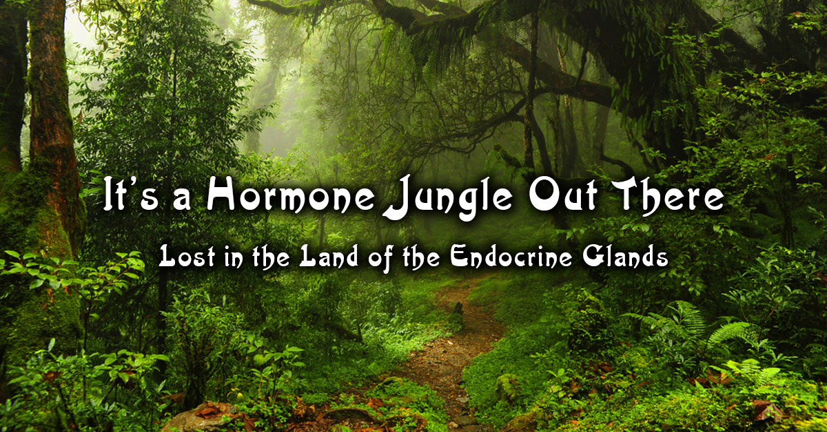 Hormone Jungle 