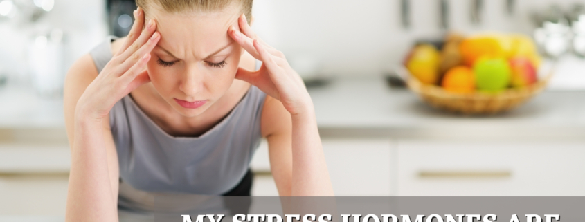 Stress Hormones