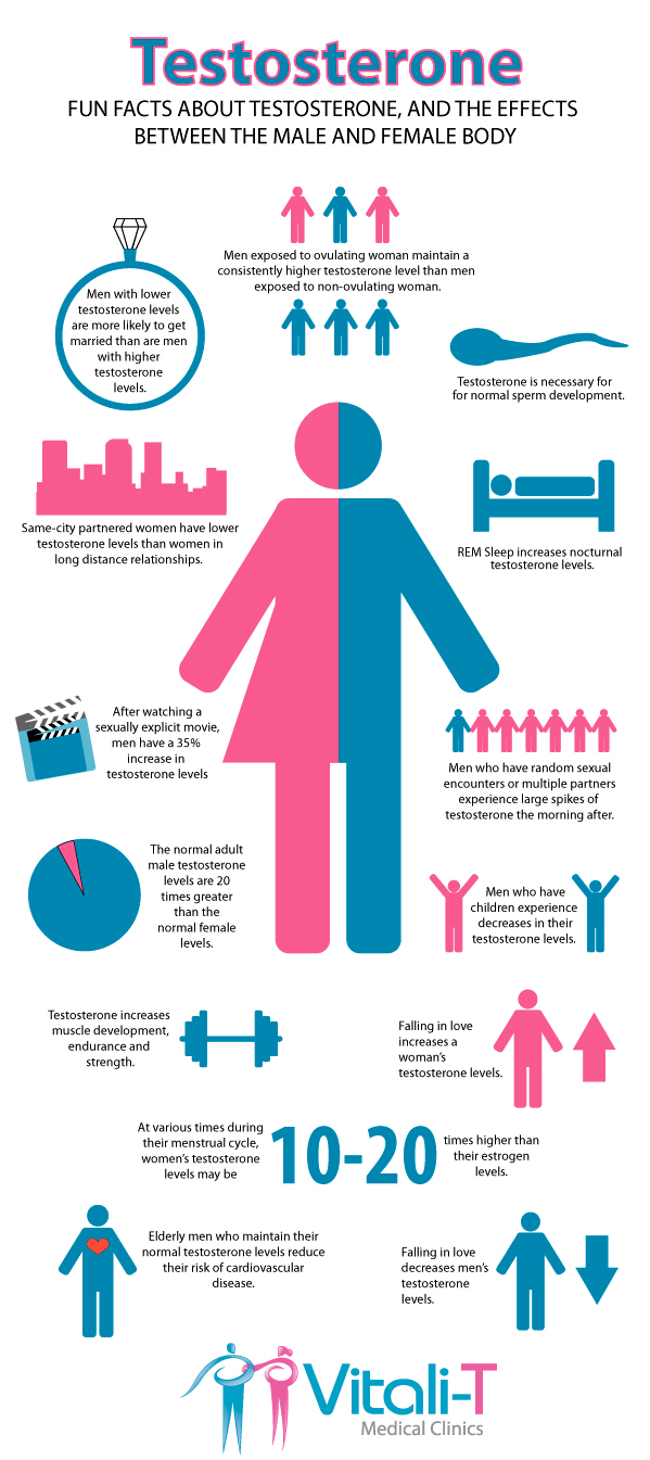 Testosterone Infographic